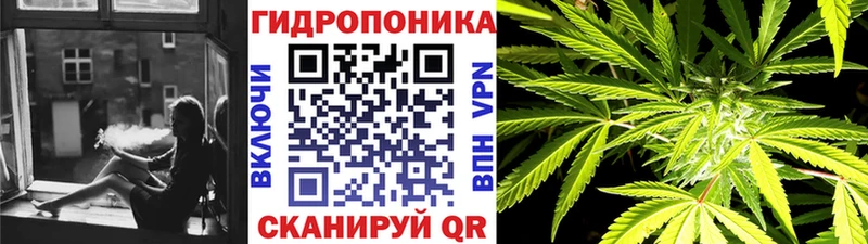 Каннабис индика  Венёв 